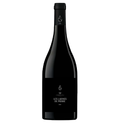 Les larmes de pierre (2023)