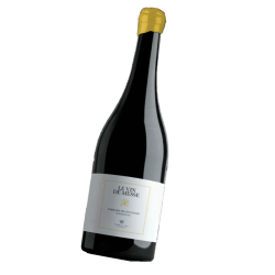 Le vin de messe (blanc 2025)